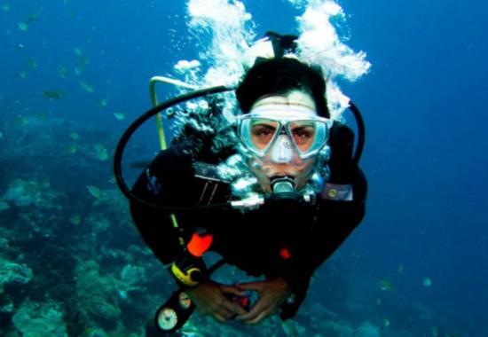 探索知识星球平台,发现更多比特犬中国禁养吗的精彩内容